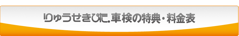 りゅうせきぴた車検