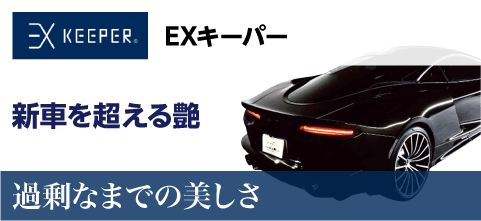 ex
